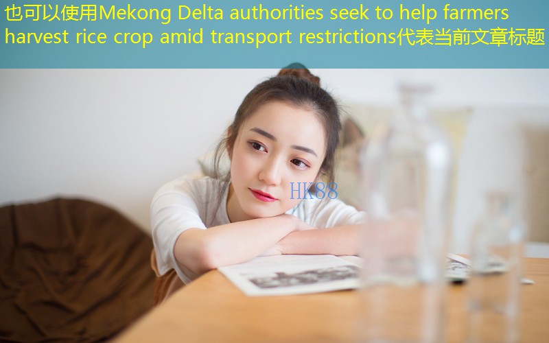 Mekong Delta authorities seek to help farmers harvest rice crop amid transport restrictions
